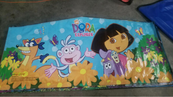 Dora the Explorer Bounce House Panel