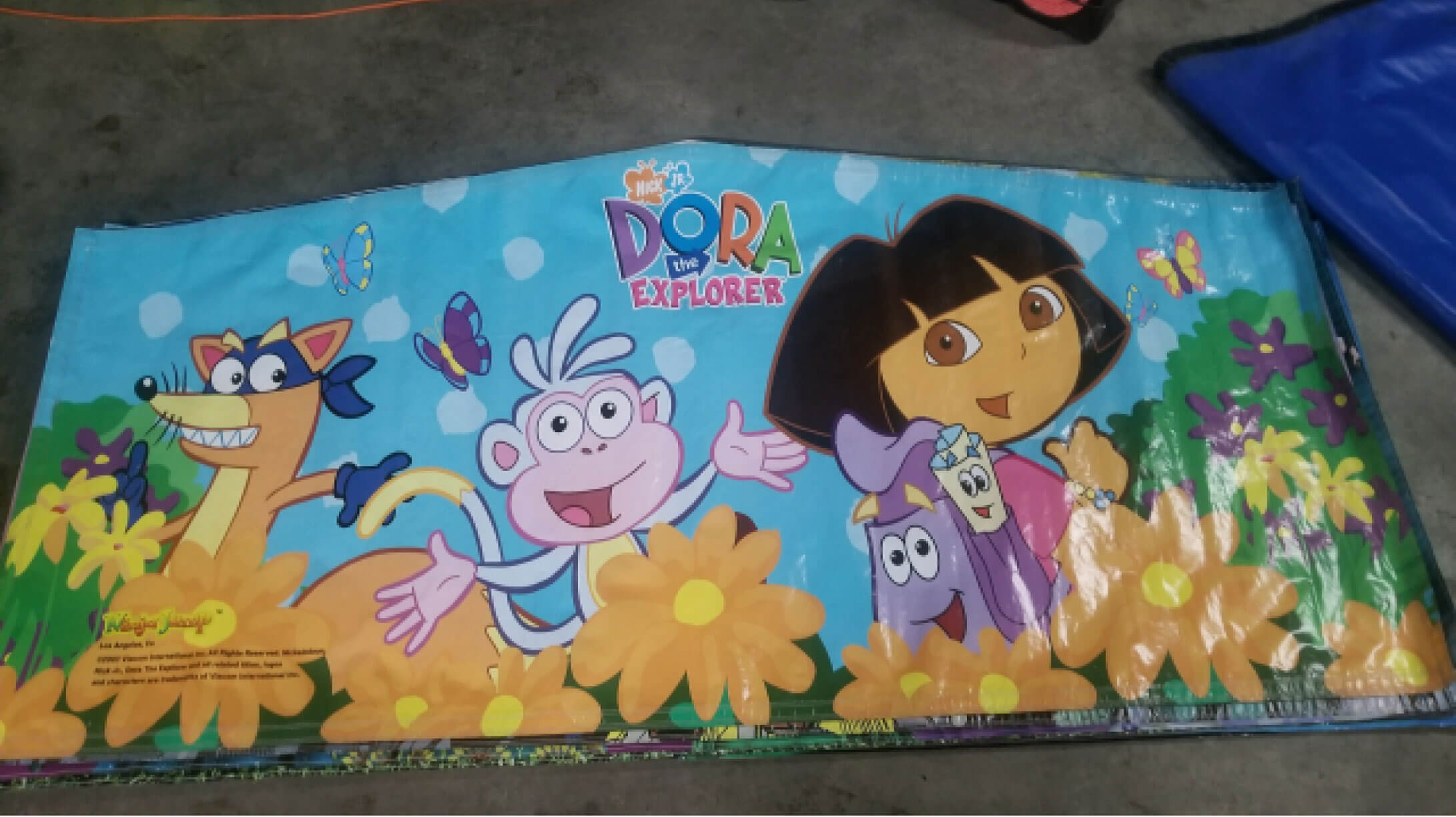 Dora the Explorer Bounce House Panel