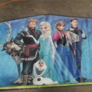 Frozen Bounce House Panel