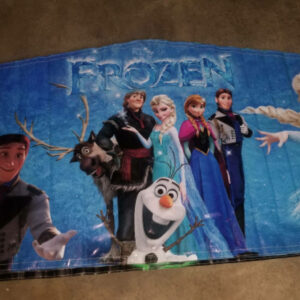 Frozen Bounce House Panel