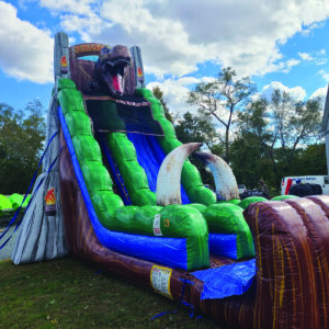 Jurassic Rush 22 ft Dry Slide Rental