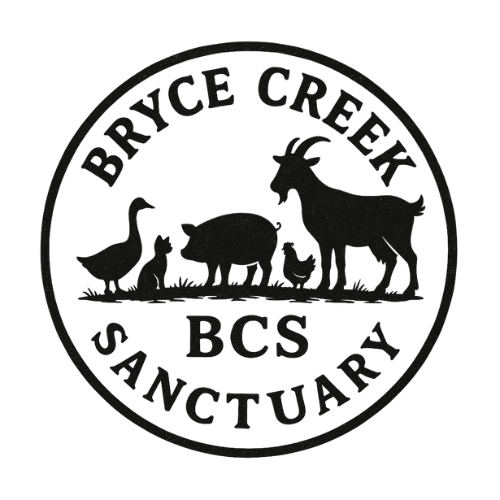 brycecreektransparent